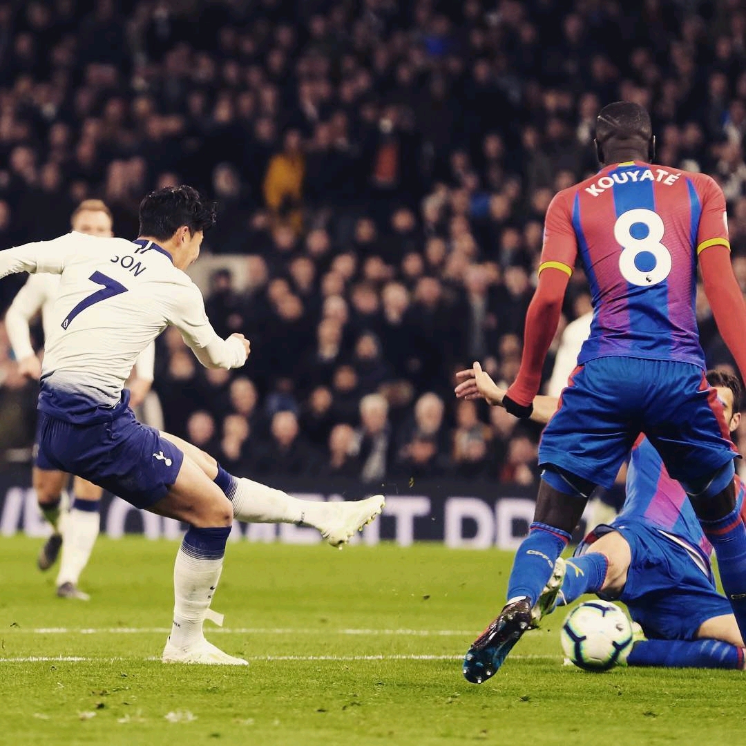 和组织性 和组织性